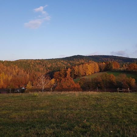 Ferienwohnung Bonndorf Wasungen Экстерьер фото